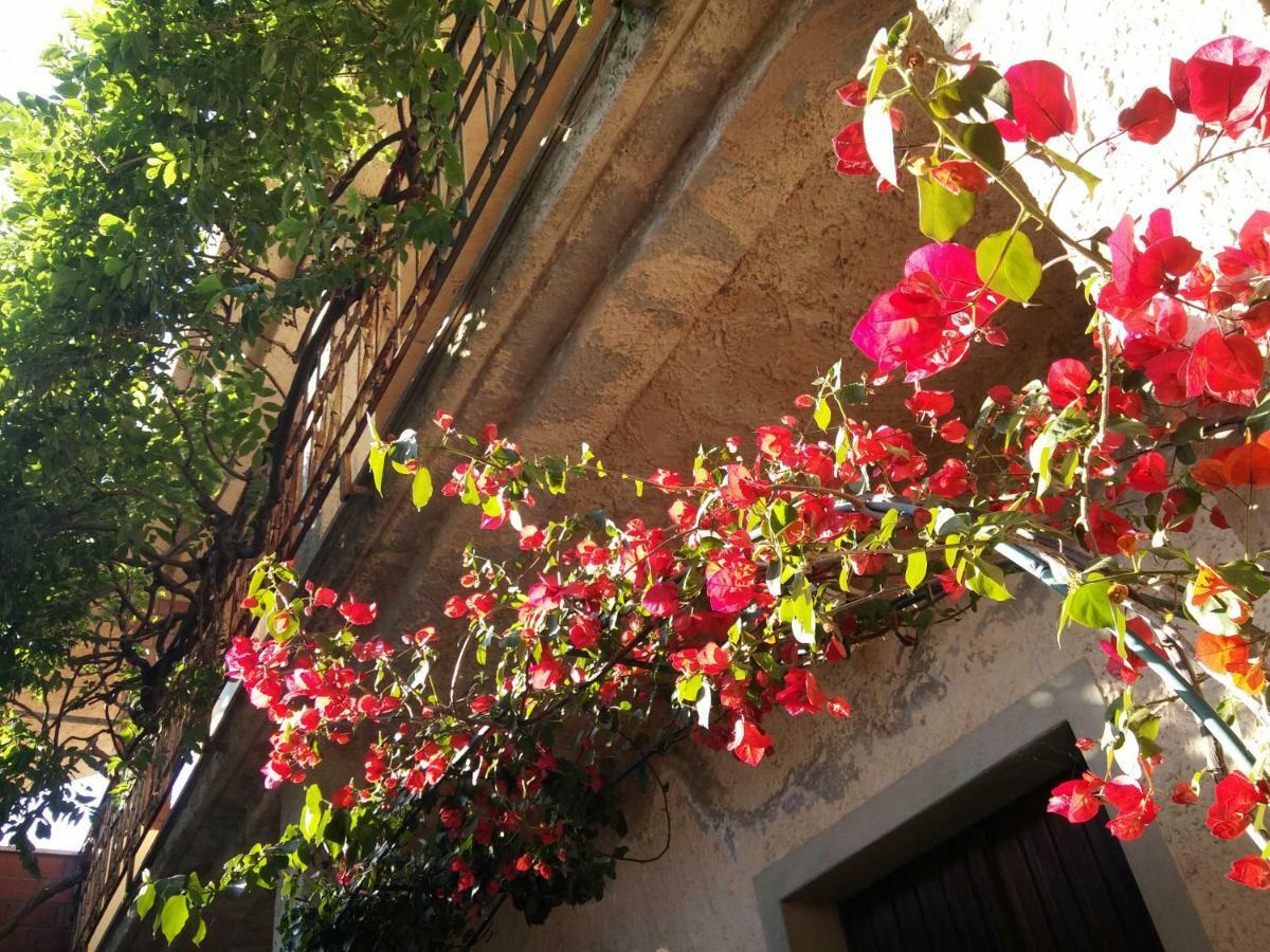 Bed and Breakfast Zia Chiarina San Nicolo Gerrei Экстерьер фото