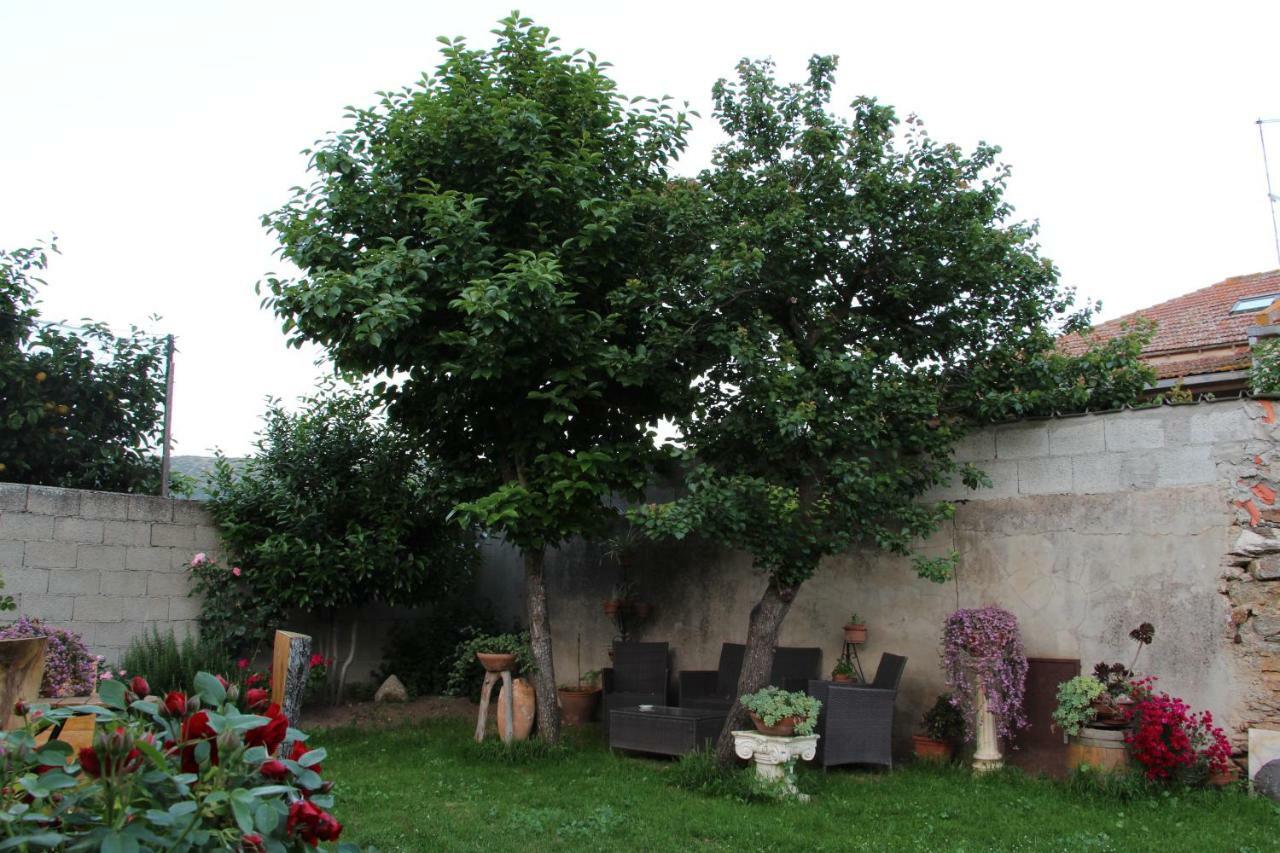 Bed and Breakfast Zia Chiarina San Nicolo Gerrei Экстерьер фото